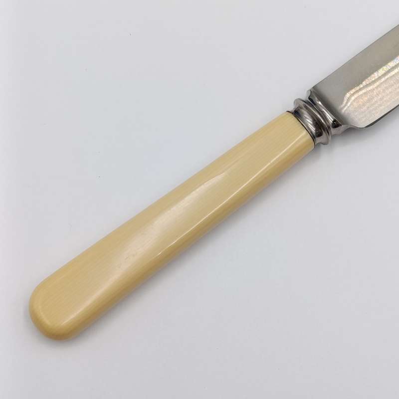 Set of 12 Antique Stainless Sheffield knives with imitation bone handles in original case