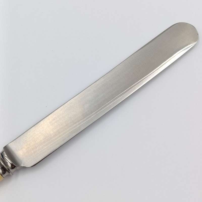Set of 12 Antique Stainless Sheffield knives with imitation bone handles in original case