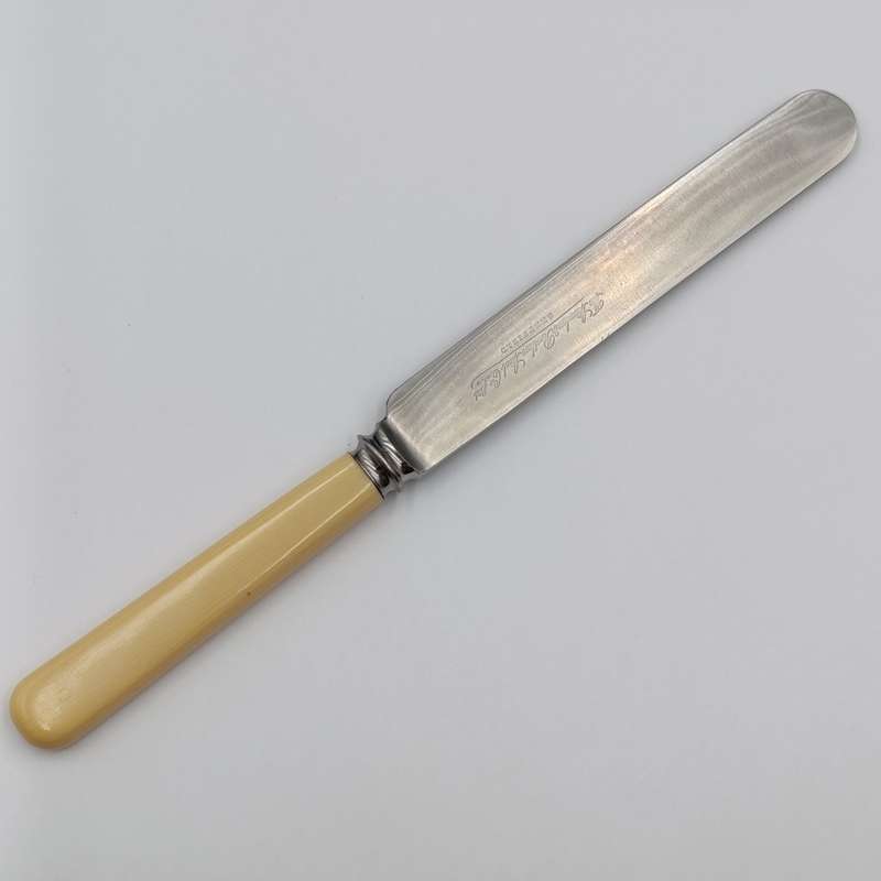 Set of 12 Antique Stainless Sheffield knives with imitation bone handles in original case