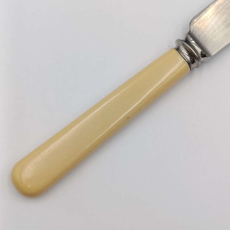 Set of 12 Antique Stainless Sheffield knives with imitation bone handles in original case
