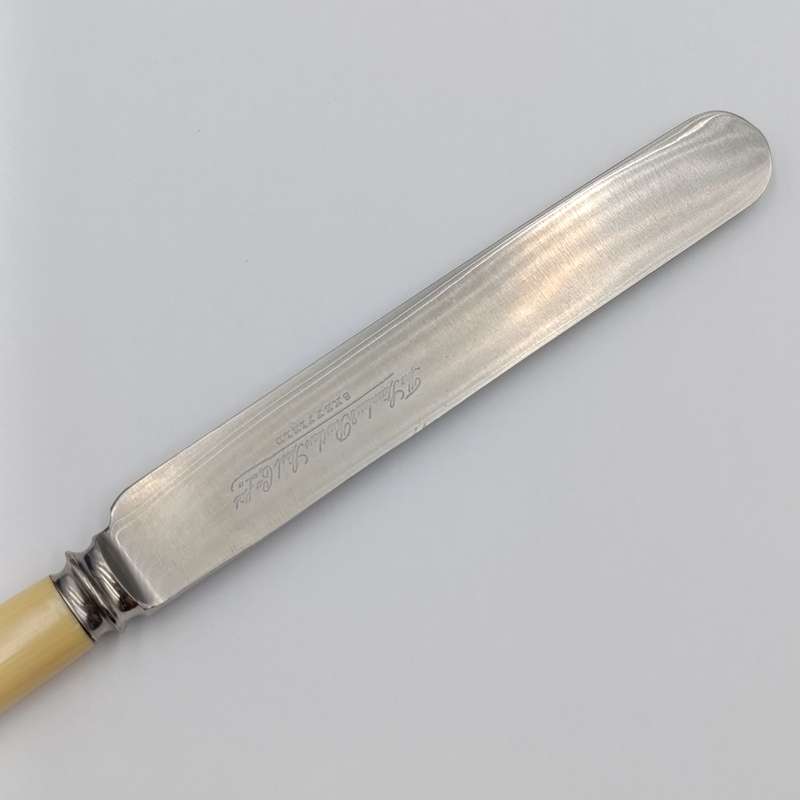 Set of 12 Antique Stainless Sheffield knives with imitation bone handles in original case