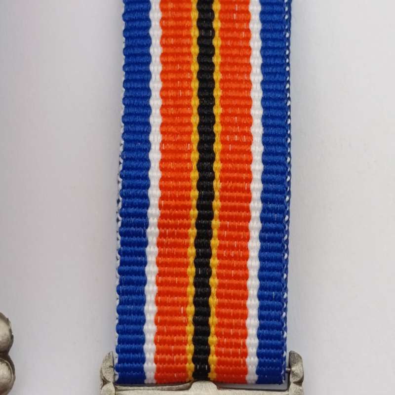 SANDF Tshumelo Ikatelaho medal plus miniature #2247