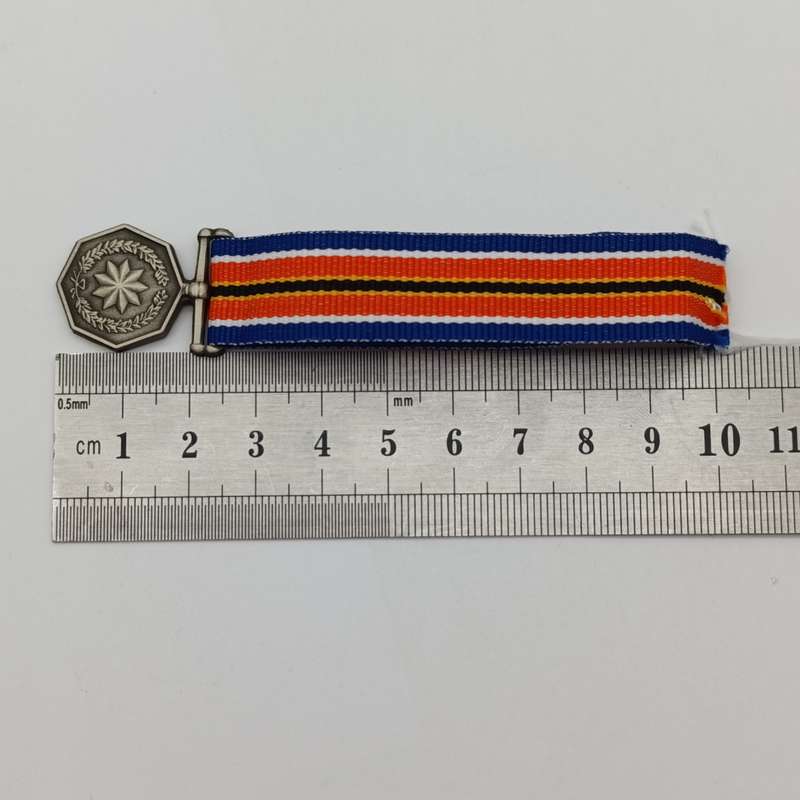 SANDF Tshumelo Ikatelaho medal plus miniature #2247