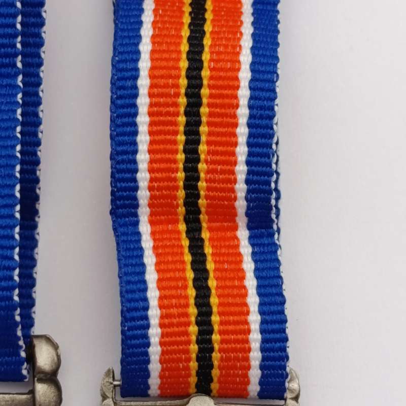 SANDF Tshumelo Ikatelaho medal plus miniature #2233