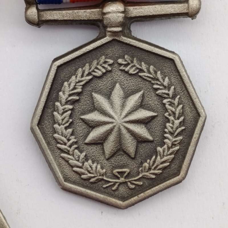 SANDF Tshumelo Ikatelaho medal plus miniature #2233