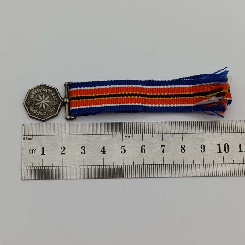 SANDF Tshumelo Ikatelaho medal plus miniature #2233