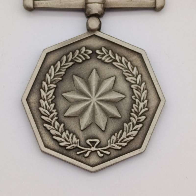 SANDF Tshunmelo Ikatelaho medal plus miniature #2246