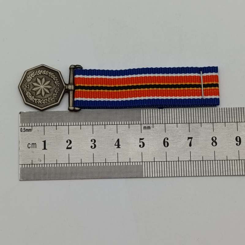 SANDF Tshumelo Ikatelaho medal plus miniature #2252