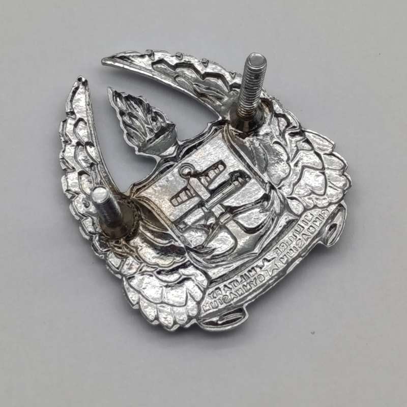 SADF Army Gymnasium beret badge