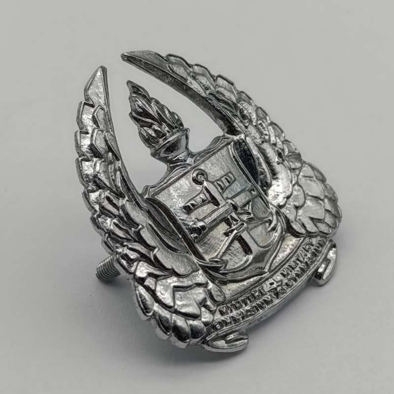 SADF Army Gymnasium beret badge