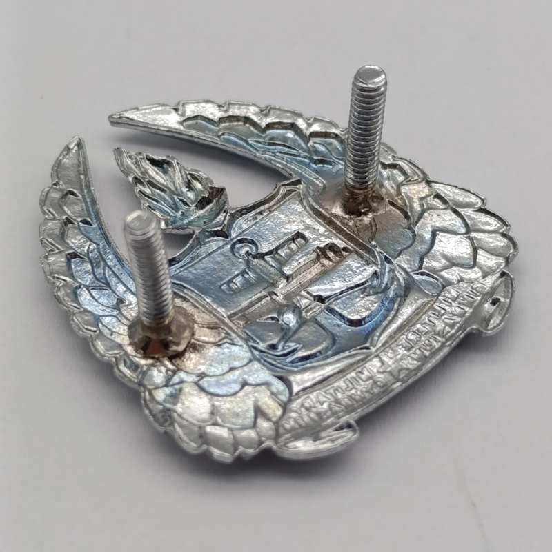 SADF Army Gymnasium beret badge