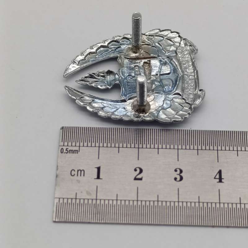 SADF Army Gymnasium beret badge