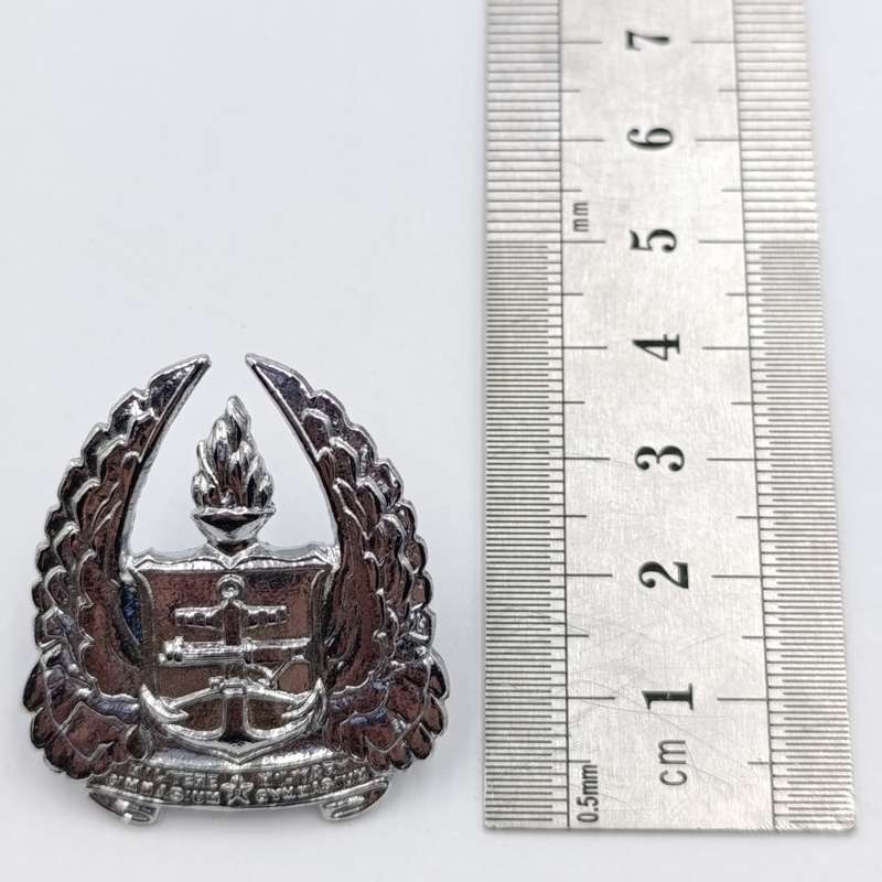 SADF Army Gymnasium beret badge