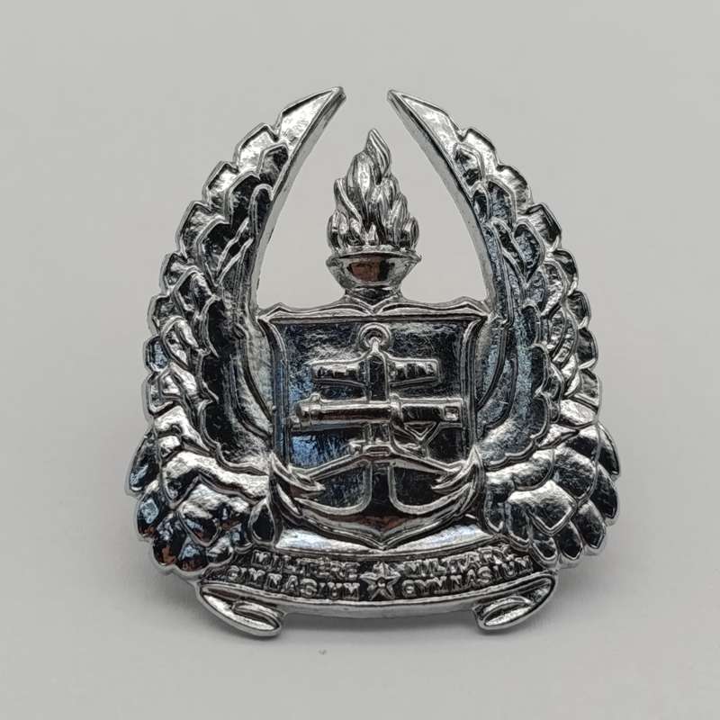 SADF Army Gymnasium beret badge