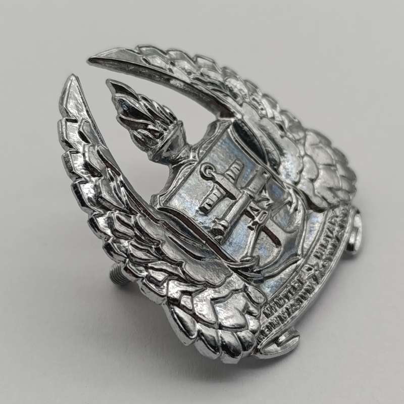 SADF Army Gymnasium beret badge