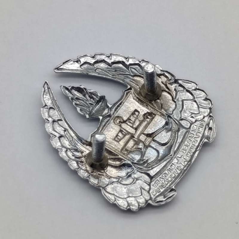 SADF Army Gymnasium beret badge