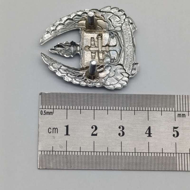 SADF Army Gymnasium beret badge