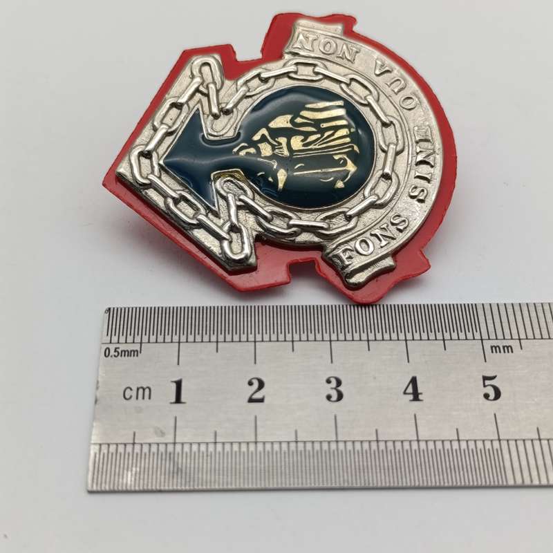 SADF Cape Corps Maintenance unit cap badge
