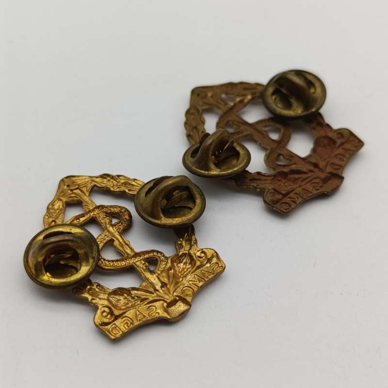 Pair of SA Medical corps collar badges