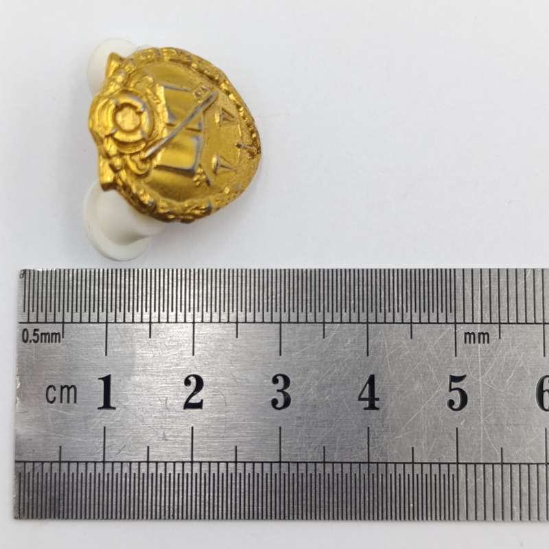 SA prison Services cap and collar badges set