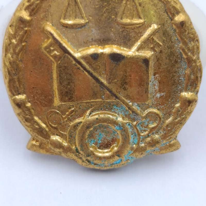 SA prison Services cap and collar badges set