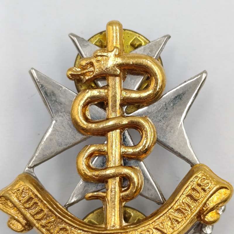 Pair of SA Military Health services collar badges