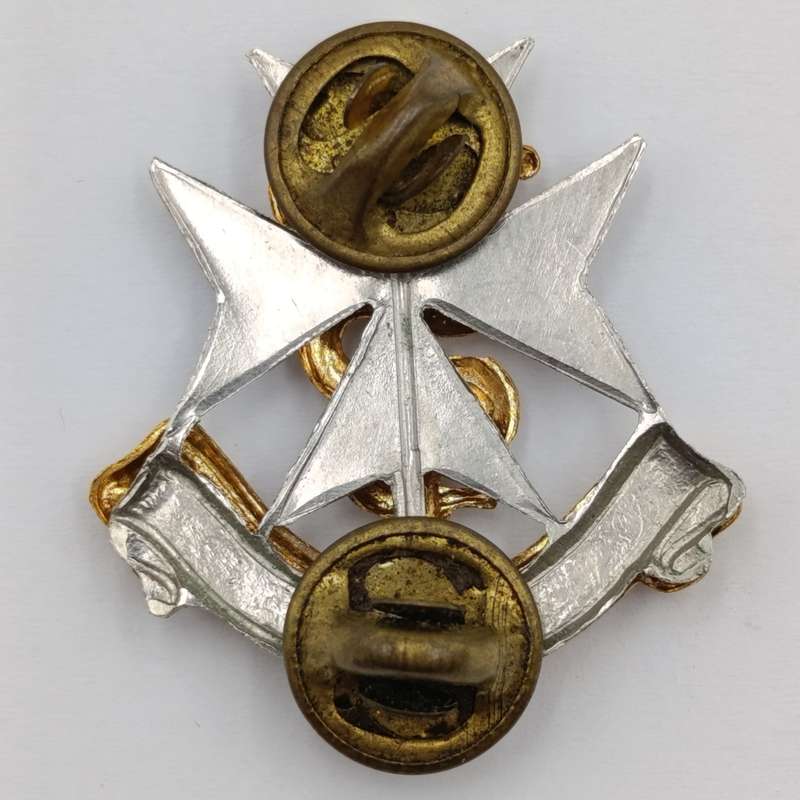 Pair of SA Military Health services collar badges