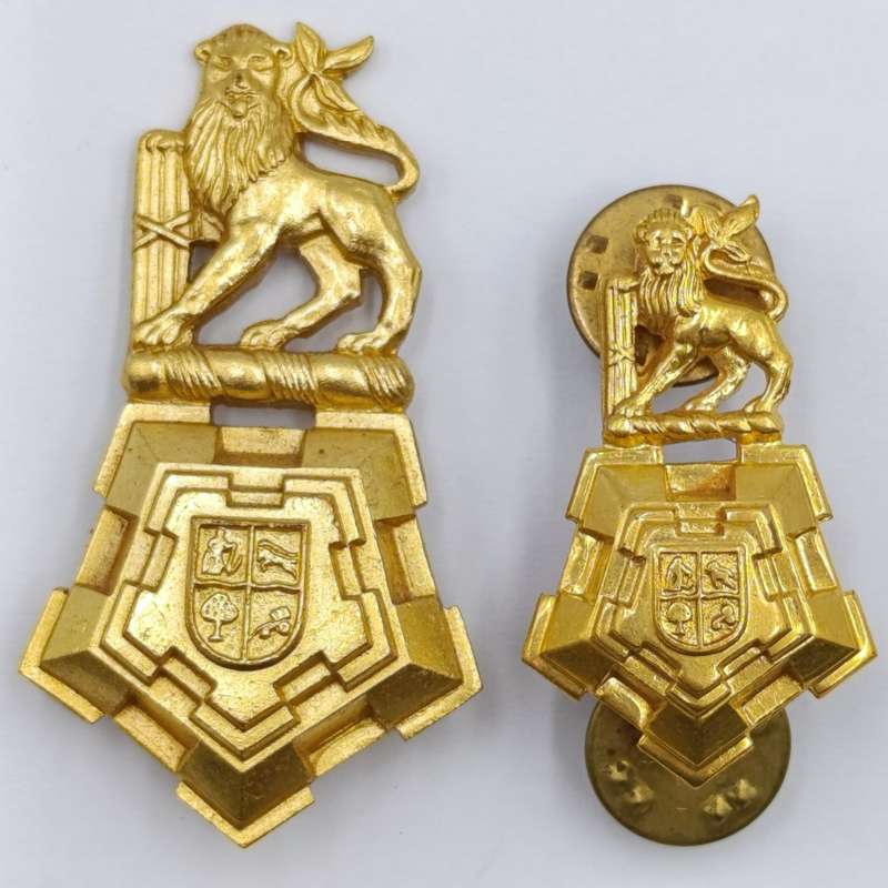 Set of SA Army Band cap and collar badges