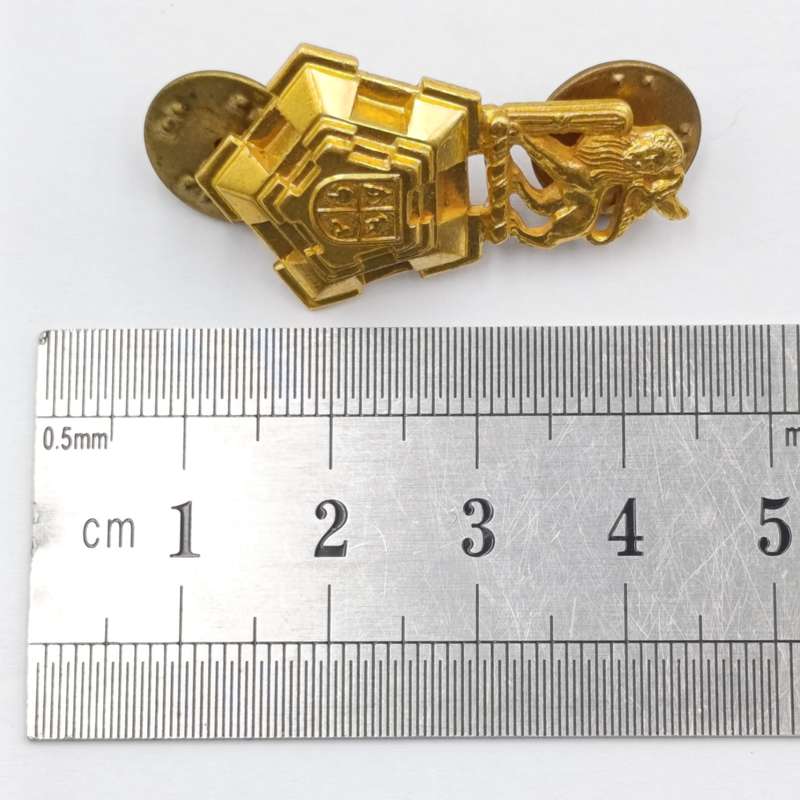 Set of SA Army Band cap and collar badges