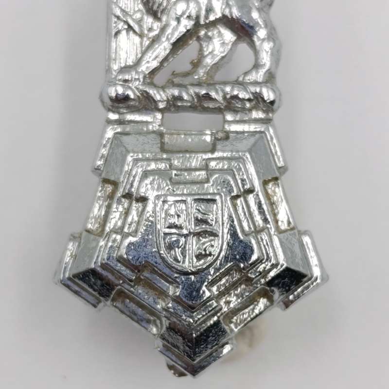 Pair of SA Staff corps mess dress collar badges - post 1980