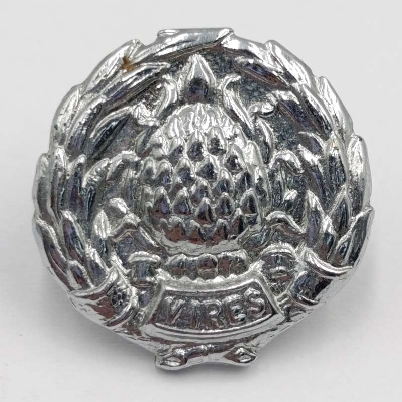 Lot of 5 SADF dress collar badges