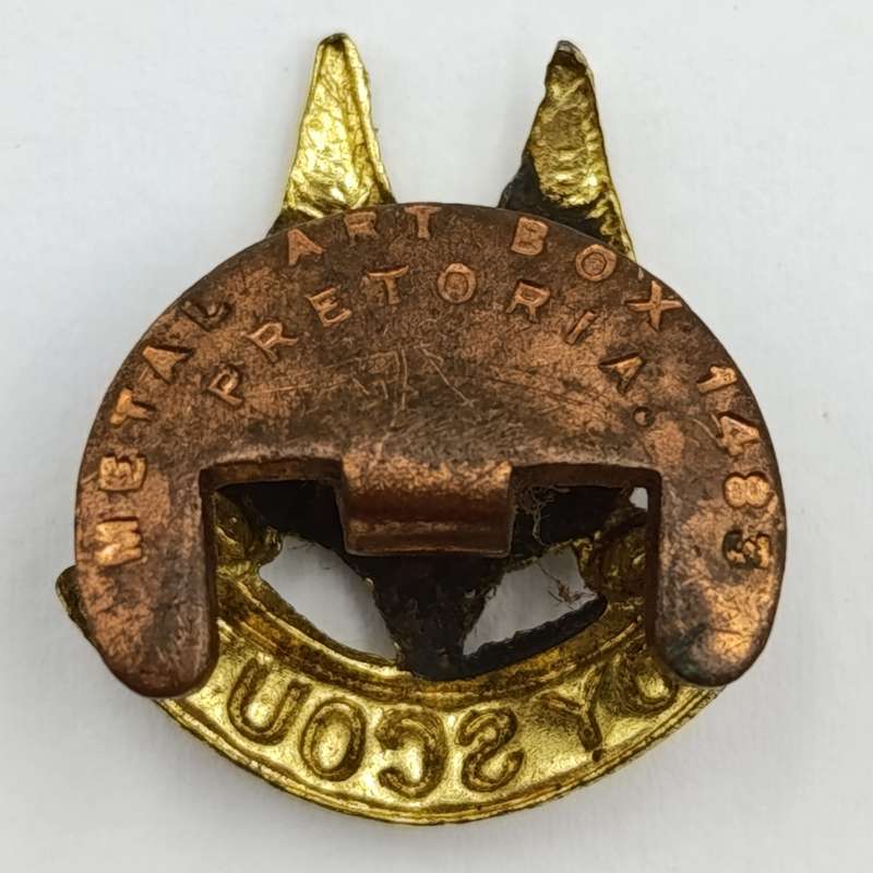 Vintage Boy scouts button badge