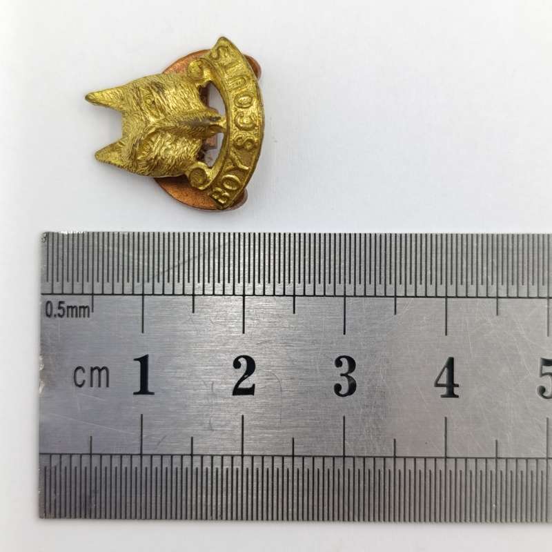 Vintage Boy scouts button badge
