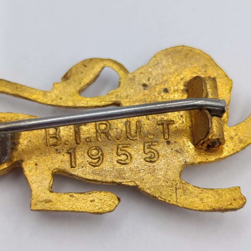 SA Navy Patty officer lion sweetheart brooch