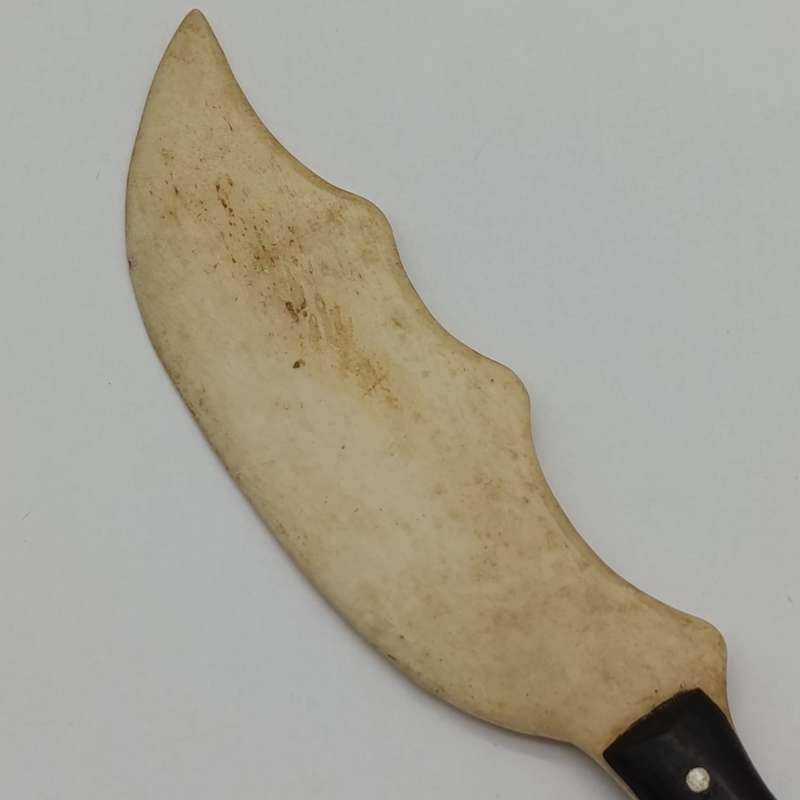 Boer War Pow trench art knife of bone and ebony - inscribed Boer Camp Ceylon 1901