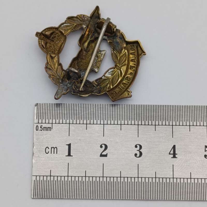 WW2 SA Air Force Sweetheart badge