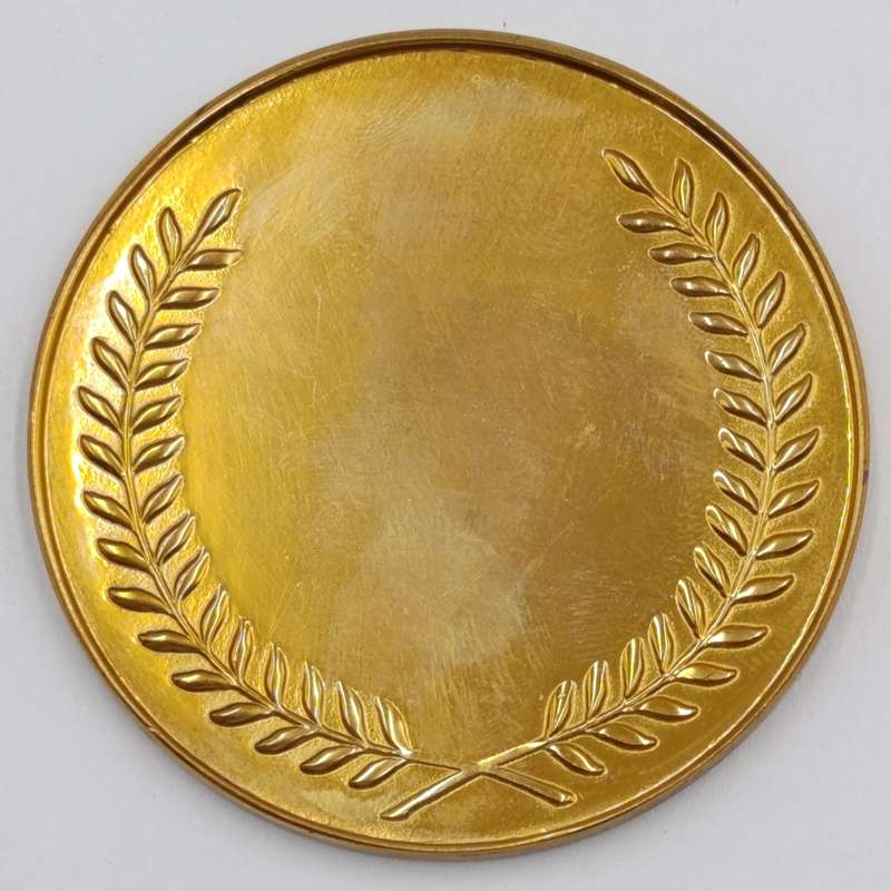 SADF Witwatersrand command medallion