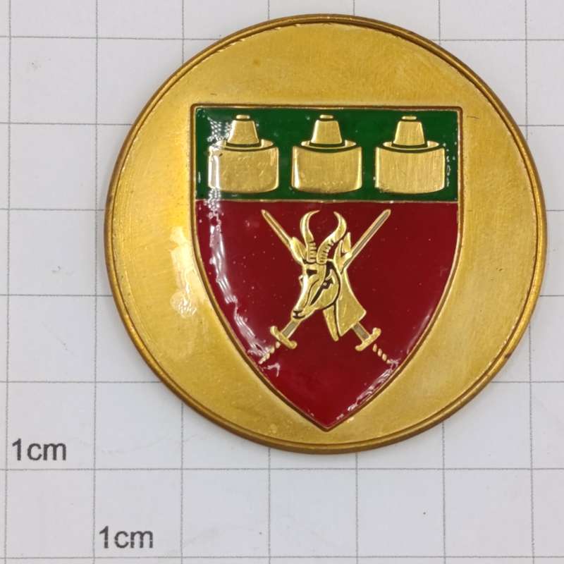 SADF Witwatersrand command medallion