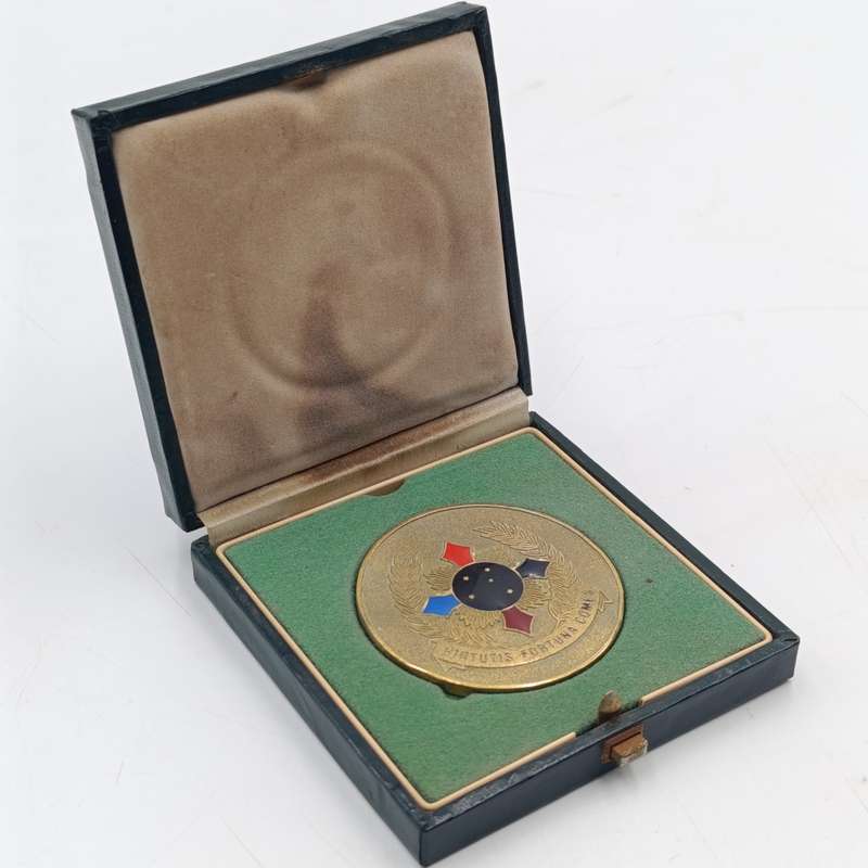 SADF Joint Tactical forces medallion