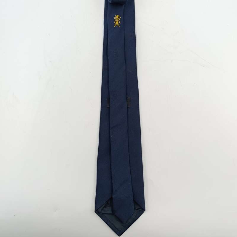SADF 1 Construction regiment tie