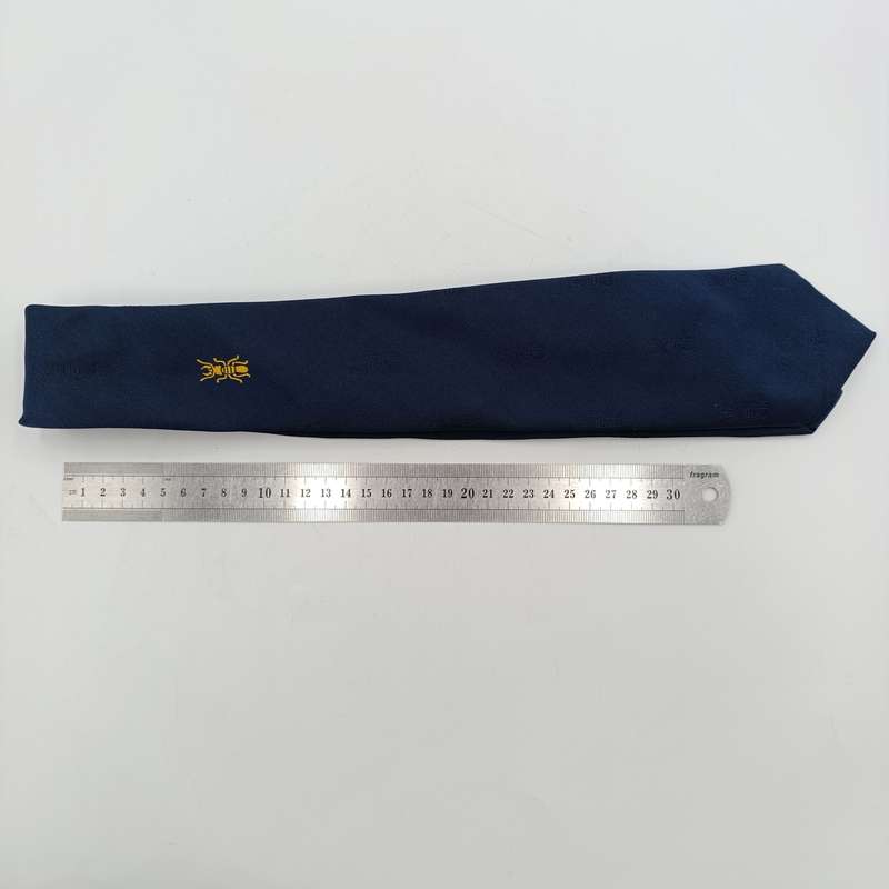 SADF 1 Construction regiment tie