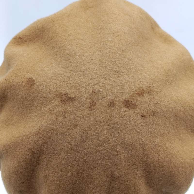 SADF Signal Corps beret with badge and balkie