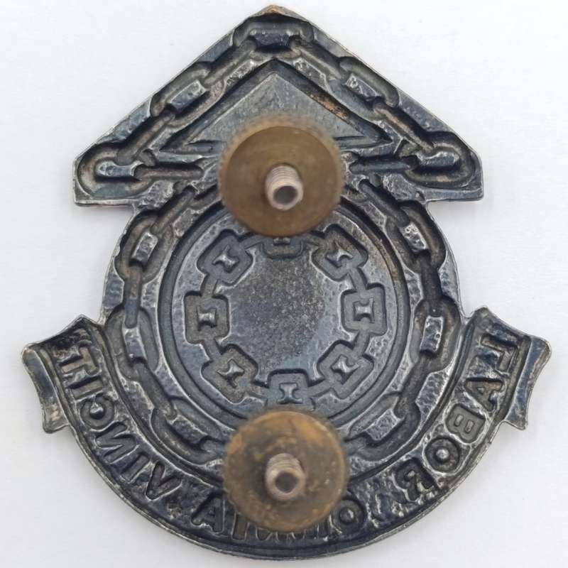 SADF Logistical command HQ cap badge