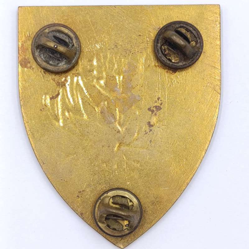 SADF Regiment Piet Retief shoulder flash