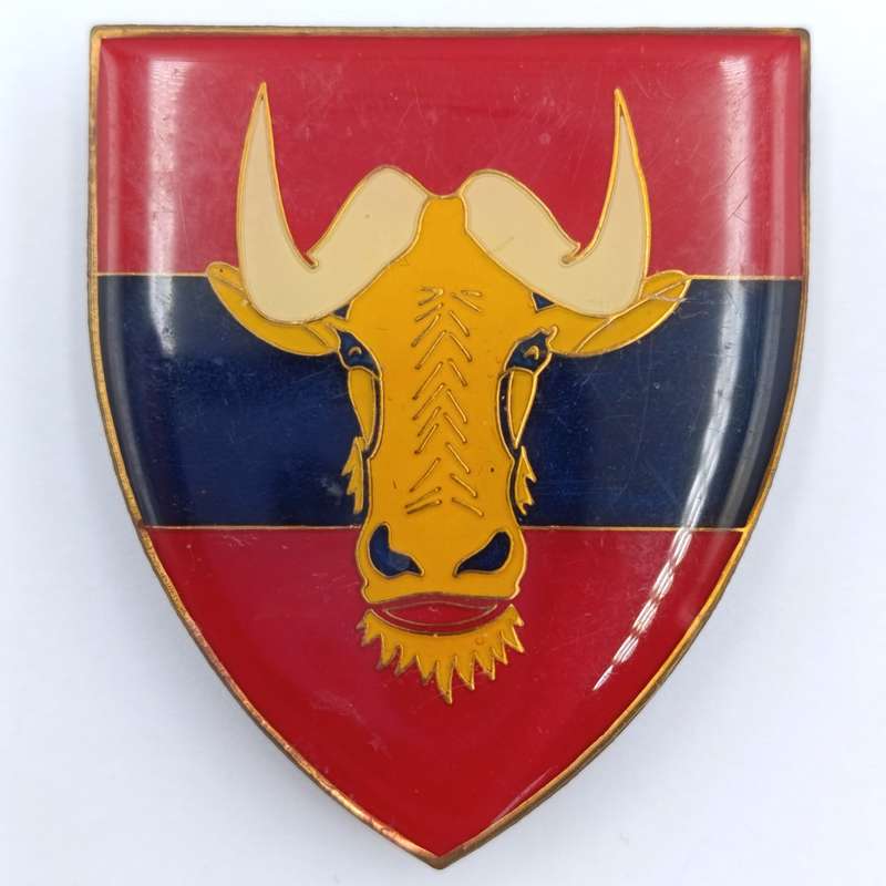 SADF 4 Engineer Regiment shoulder flash