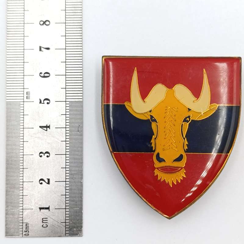 SADF 4 Engineer Regiment shoulder flash