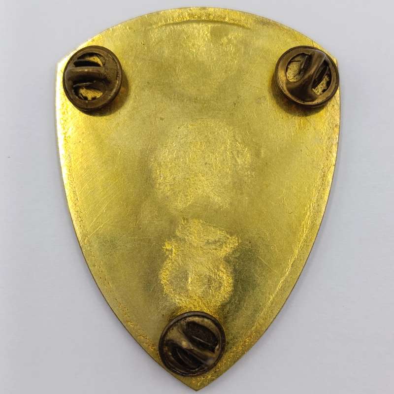 SADF 2 Field Ambulance shoulder flash