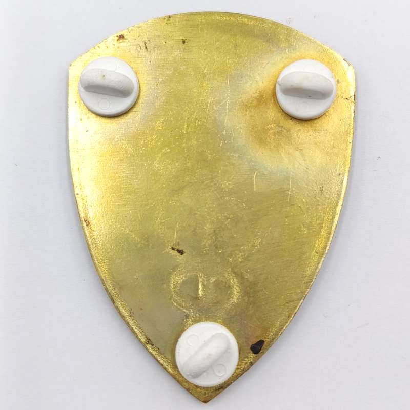 SADF 7 Field Ambulance shoulder flash