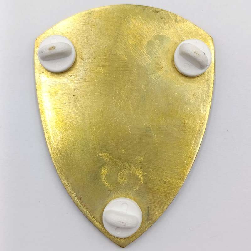 SADF 15 Field Ambulance shoulder flash