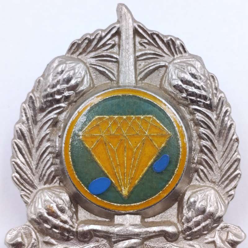 SADF Northern Cape command provost unit cap badge